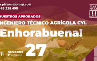 Aprobados-Ingeniero-Tecnico-Agricola-Plaza Mayor